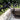 Vanguard Rotating Anti-climb Guard Cranked Bracket | Roller Barrier