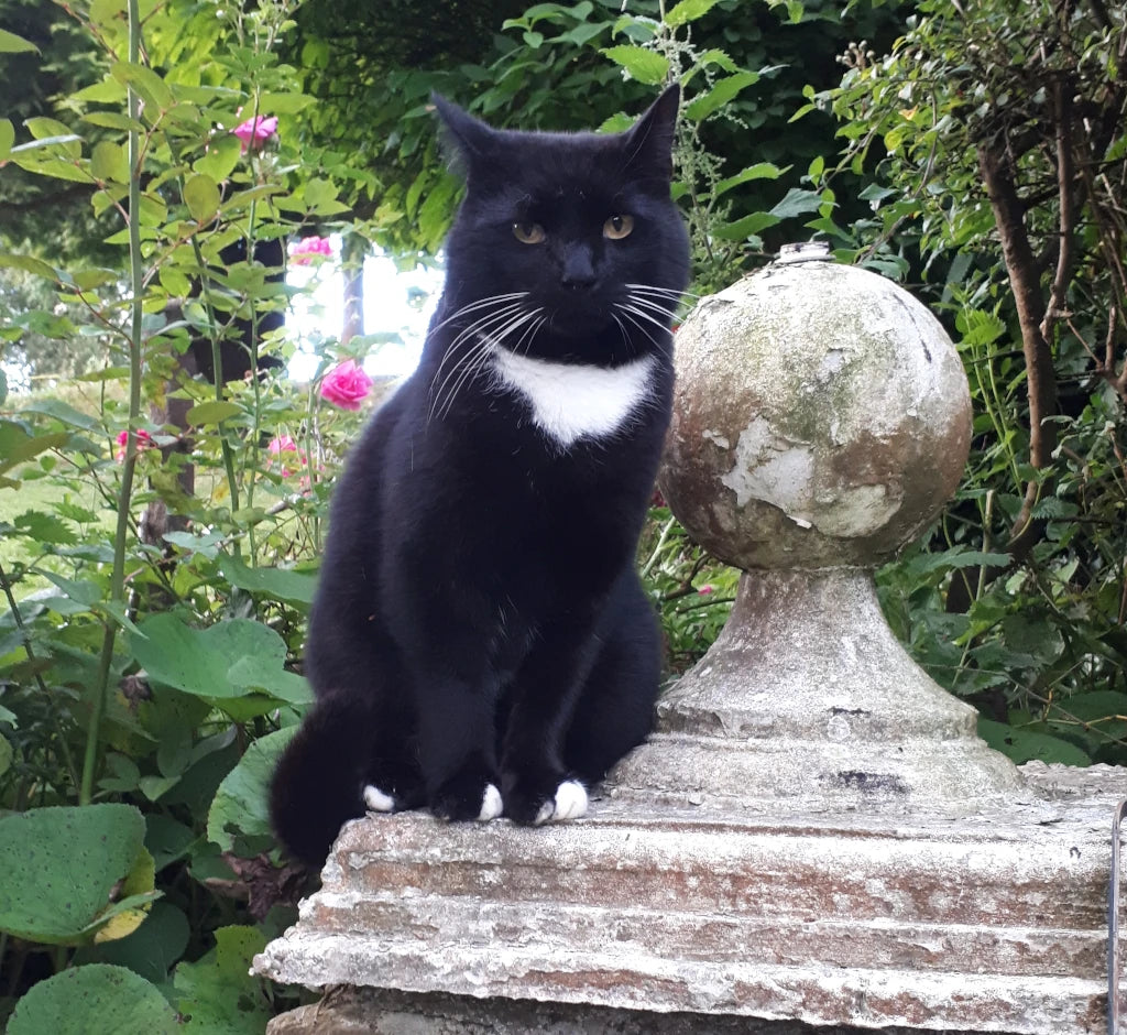 Will Fence Security Toppers Prevent Animals from Entering a Garden?